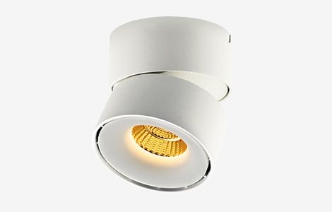 Dolux 01 Ceiling Mounted
